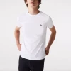 Lacoste Men's Crew Neck Cotton T-Shirt -SHOES Popular Shop Captured ecran le2022 10 24a12.31.39