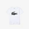 Lacoste Junior T-Shirt 2 Lacoste Junior T-Shirt -SHOES Popular Shop image 224aced8 dd55 446a b657 85f2cfeaa0aa